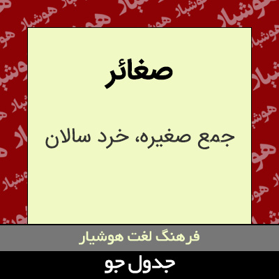 تصویری از صغائر