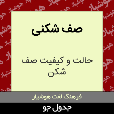 تصویری از صف شکنی