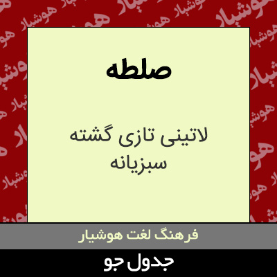 تصویری از صلطه