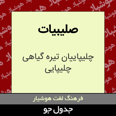 تصویری از صلیبیات