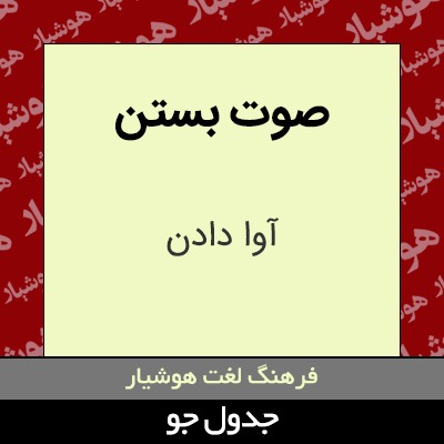 تصویری از صوت بستن