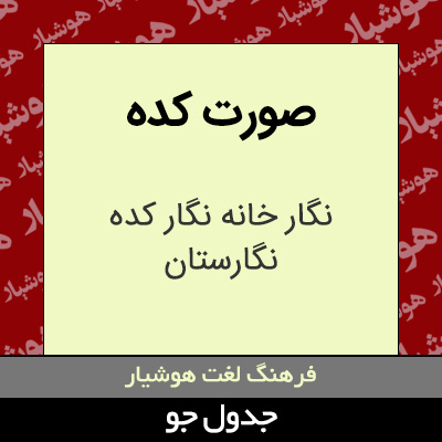 تصویری از صورت کده