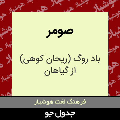 تصویری از صومر