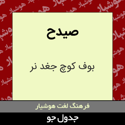 تصویری از صیدح
