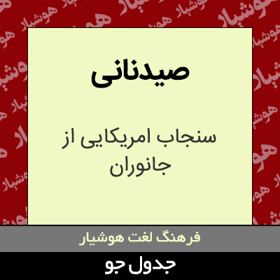 تصویری از صیدنانی