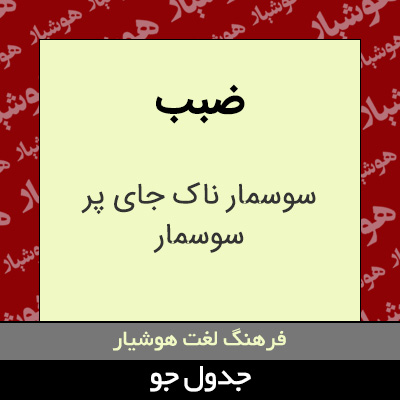 تصویری از ضبب