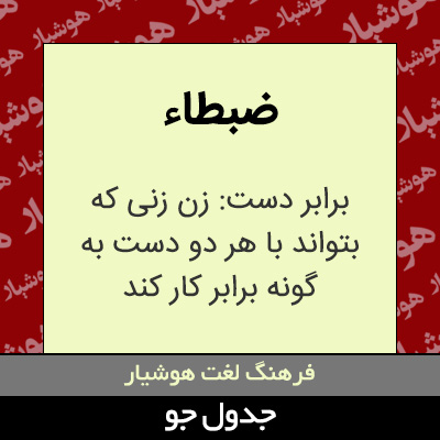 تصویری از ضبطاء