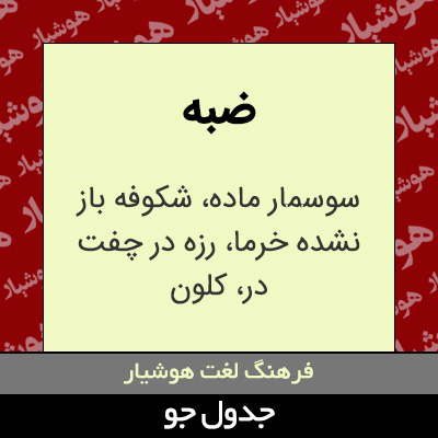 تصویری از ضبه