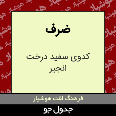 تصویری از ضرف