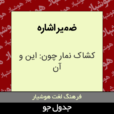 تصویری از ضمیر اشاره