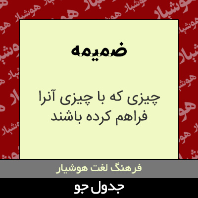 تصویری از ضمیمه