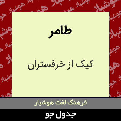 تصویری از طامر
