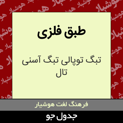 تصویری از طبق فلزی