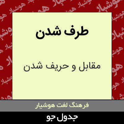 تصویری از طرف شدن