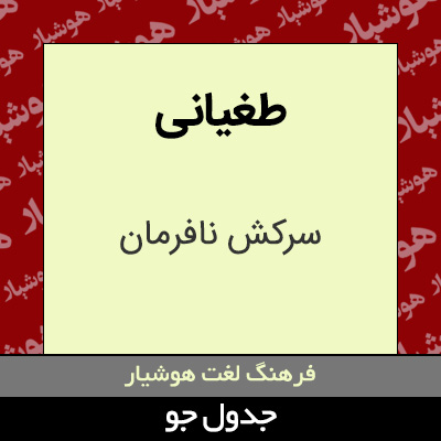 تصویری از طغیانی