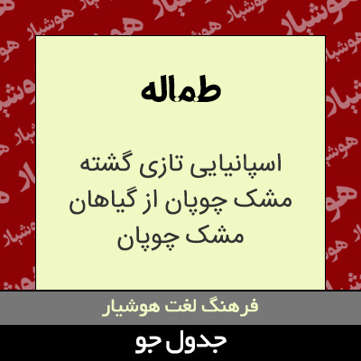 تصویری از طماله