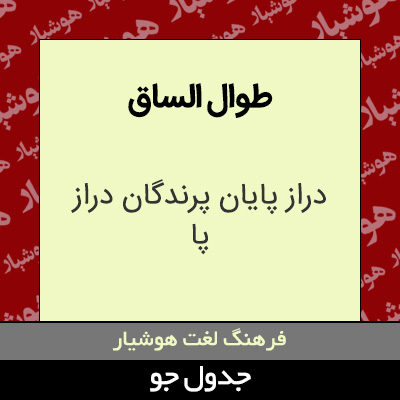 تصویری از طوال الساق