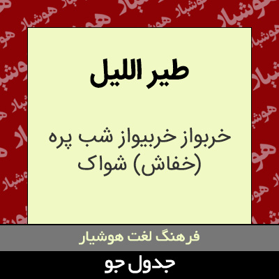 تصویری از طیر اللیل