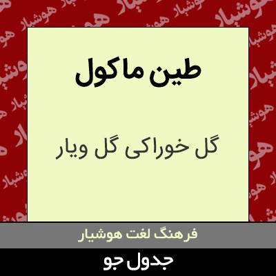 تصویری از طین ماکول