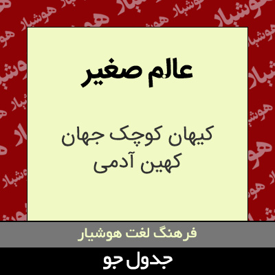 تصویری از عالم صغیر