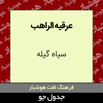 تصویری از عرقیه الراهب