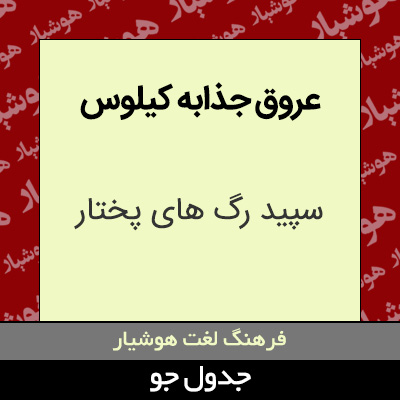 تصویری از عروق جذابه کیلوس