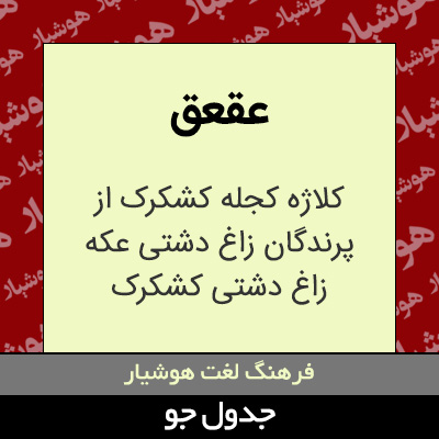 تصویری از عقعق