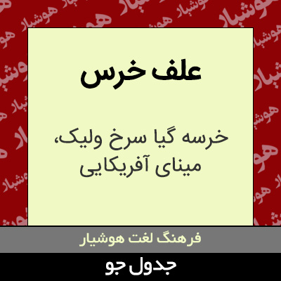 تصویری از علف خرس