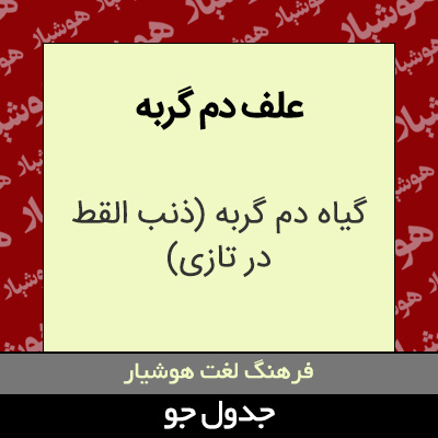 تصویری از علف دم گربه