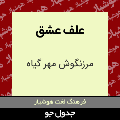 تصویری از علف عشق