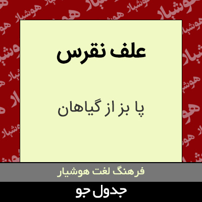 تصویری از علف نقرس