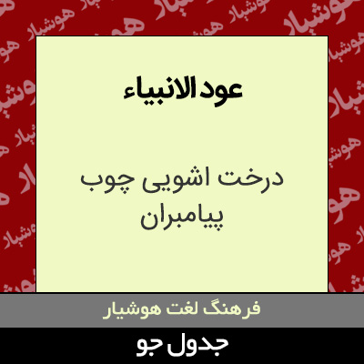 تصویری از عود الانبیاء