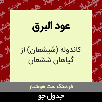 تصویری از عود البرق