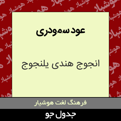 تصویری از عود سمودری