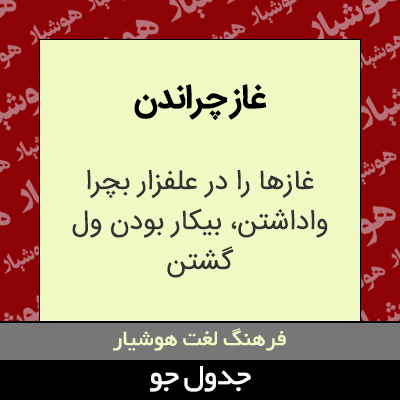 تصویری از غاز چراندن