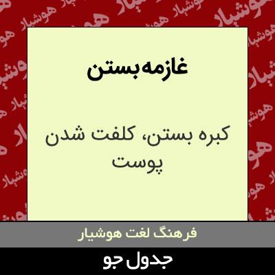 تصویری از غازمه بستن