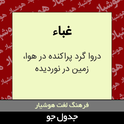 تصویری از غباء