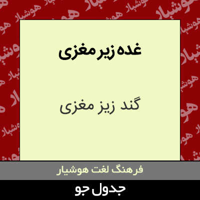 تصویری از غده زیر مغزی