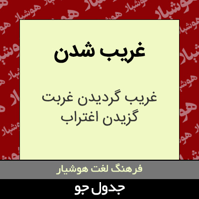 تصویری از غریب شدن