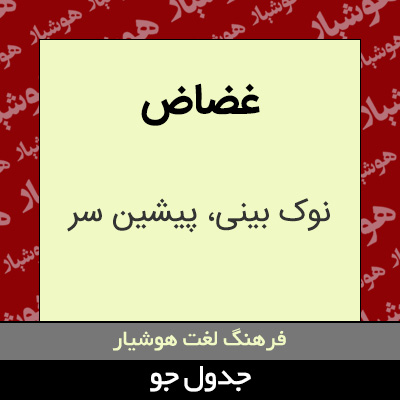 تصویری از غضاض