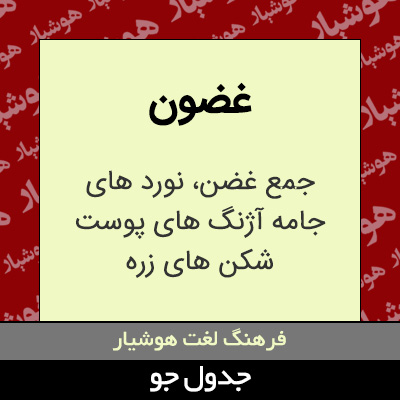 تصویری از غضون