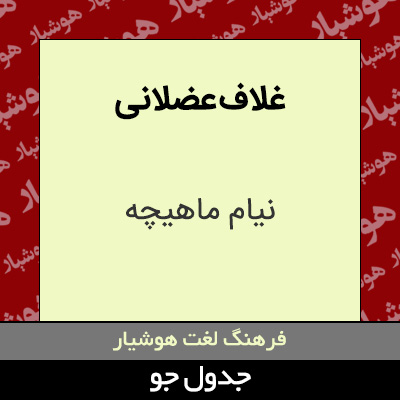 تصویری از غلاف عضلانی