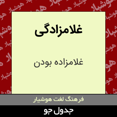 تصویری از غلامزادگی