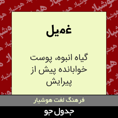 تصویری از غمیل