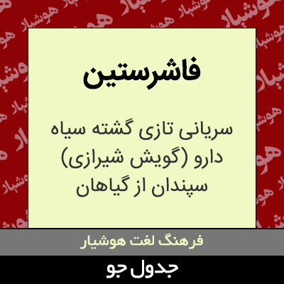 تصویری از فاشرستین