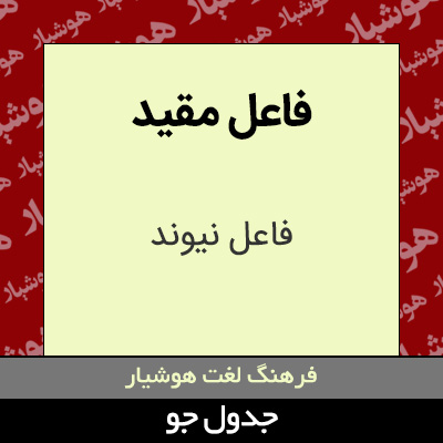 تصویری از فاعل مقید