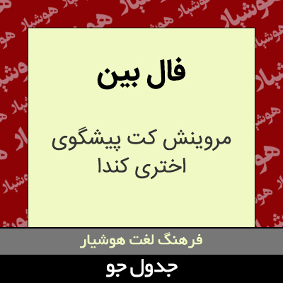 تصویری از فال بین