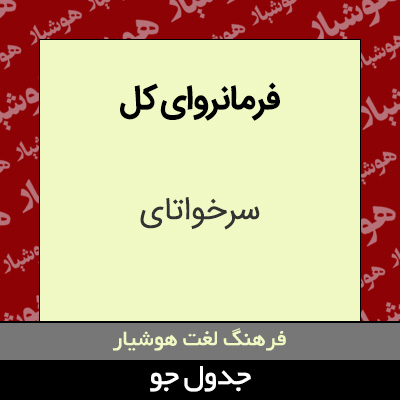 تصویری از فرمانروای کل