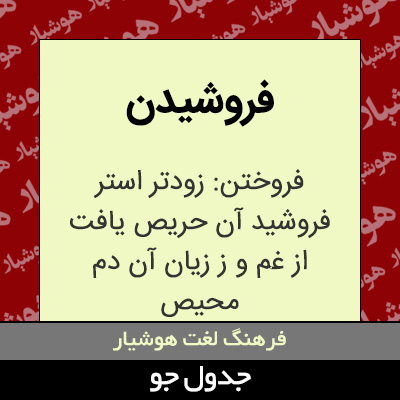 تصویری از فروشیدن