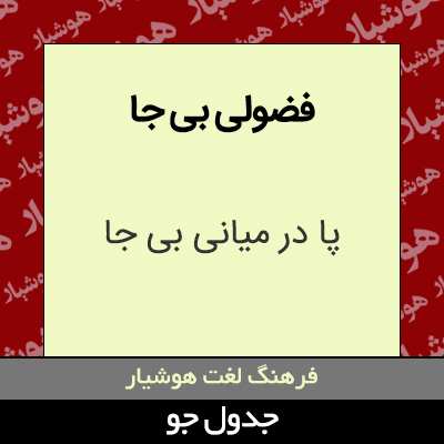 تصویری از فضولی بی جا